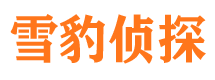 临江市私家侦探